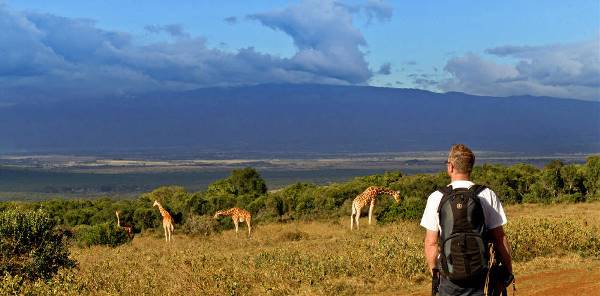 Masai Mara, Rift Valley & Samburus Elefanten (Wikinger)