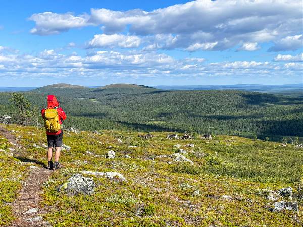 Wandern & mehr in Finnisch-Lappland (Wikinger)