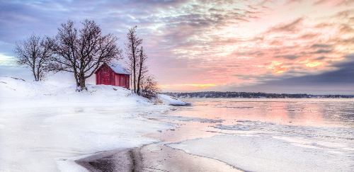 Gott nytt år in Småland! (Wikinger)