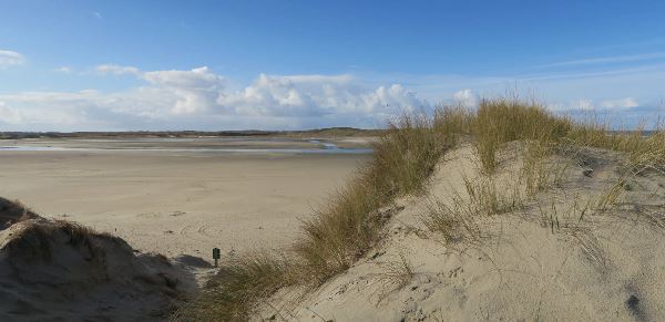 Silvester auf Texel – Watt is los? (Wikinger)