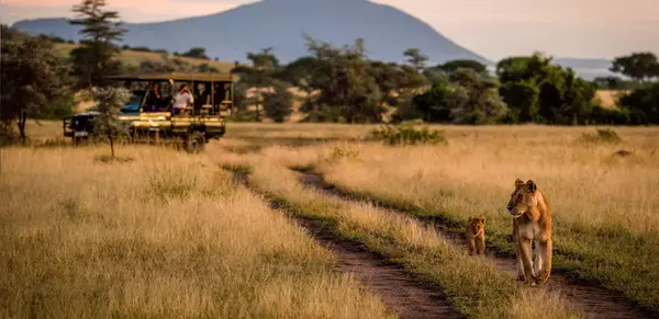 Safaris & Traumstrände zwischen Serengeti & Sansibar (Wikinger)