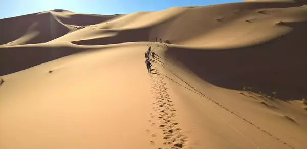 Sunset im Dünenmeer (Wikinger)