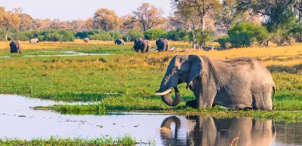 Wow! Der unentdeckte Norden Namibias (Wikinger)