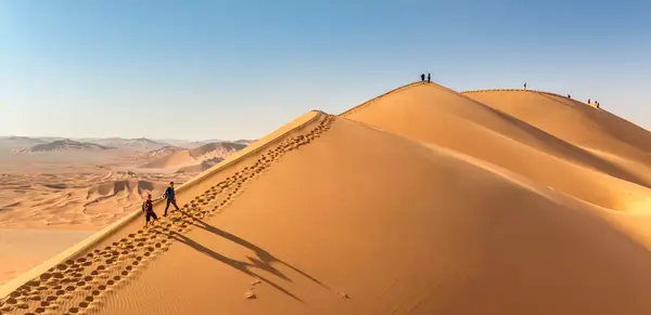 Wüstenwandern im Leeren Viertel (Wikinger)