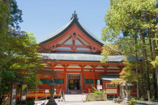 Von den Kranichen Hokkaidos zum Fuji-san (Wikinger)