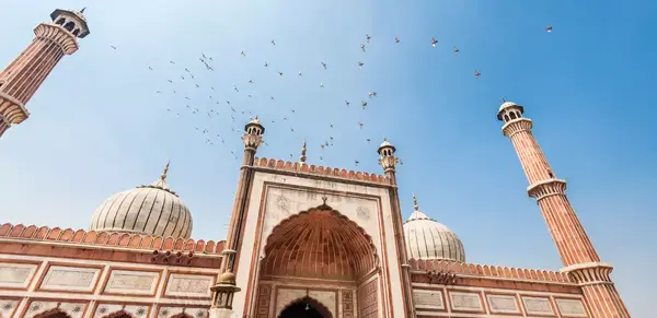 Indiens Perle Rajasthan (Wikinger)