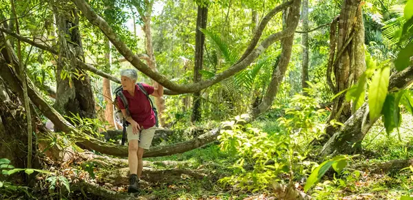 Borneo für Entdecker (Wikinger)