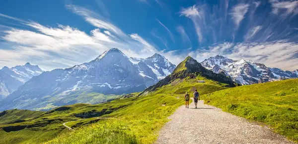 Auf dem Bärentrek durch die Alpen (Wikinger)