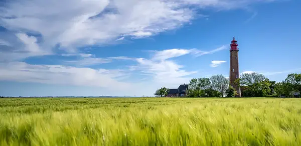 Fehmarn: Häfen, Leuchttürme und Windmühlen (Wikinger)