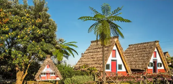 Der Duft von Lorbeer und Eukalyptus (Wikinger)