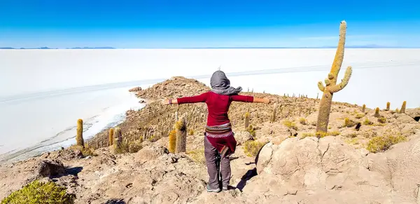 Faszination Südamerika (Wikinger)