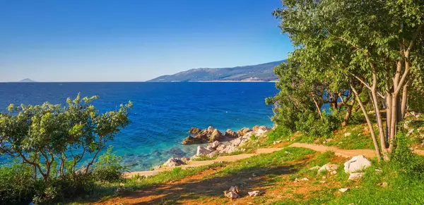 Das grüne Herz des Mittelmeers (Wikinger)