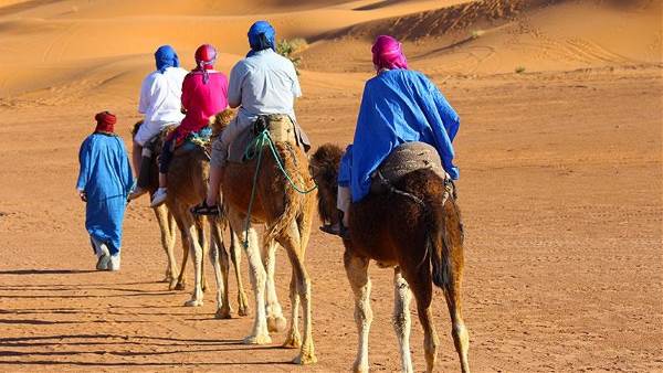 Morocco Desert Safari (Encounters Travel)