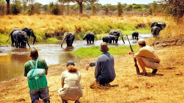 Kruger, eSwatini & Lesotho (Encounters Travel)
