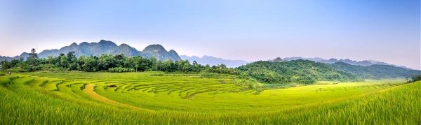 Ultimate Vietnam (Encounters Travel)