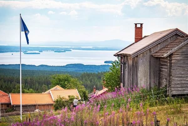 Zweden -  Dalarna, 7 dagen (SNP Natuurreizen)