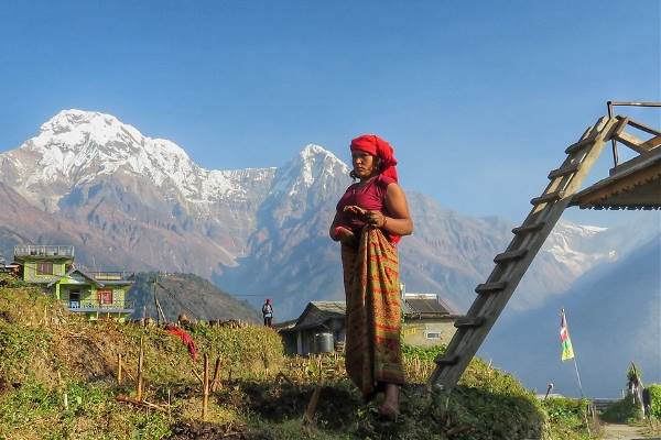 Nepal -  Panorama, 19 dagen (SNP Natuurreizen)