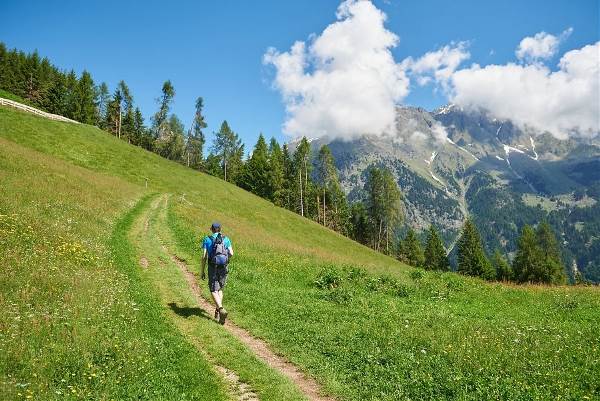 Italië -  Südtirol - Meraner Höhenweg , 7 dagen (SNP Natuurreizen)