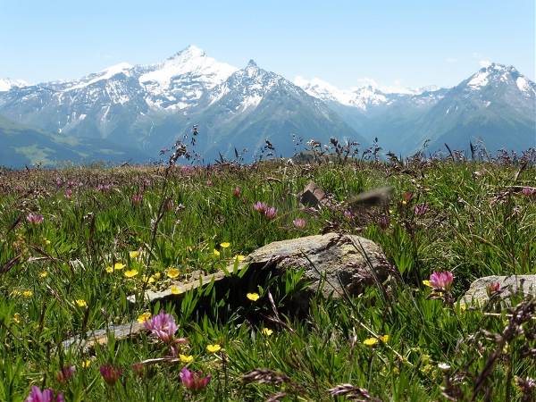 Italië -  Valle d’Aosta, 9 dagen (SNP Natuurreizen)