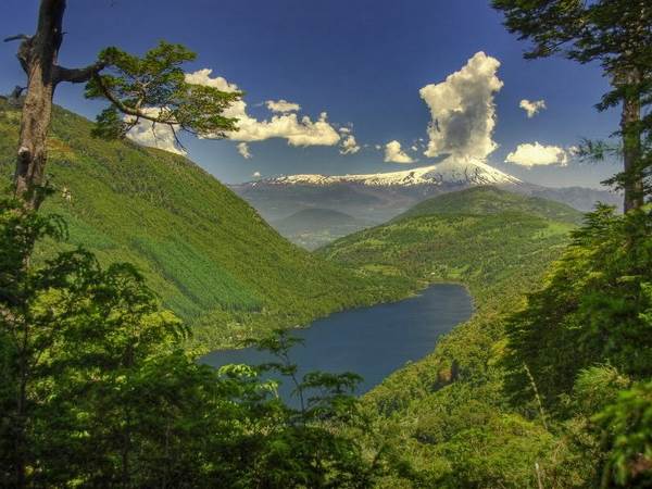 Argentinië, Chili -  Patagonië & Lake District, 19 dagen (SNP Natuurreizen)