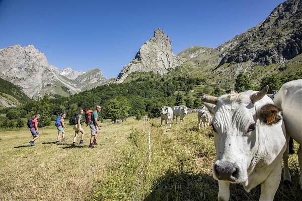 Italië -  Valle Maira, 8 dagen (SNP Natuurreizen)