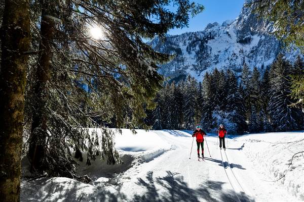 Italië -  Südtirol - Dolomieten, 8 dagen (SNP Natuurreizen)