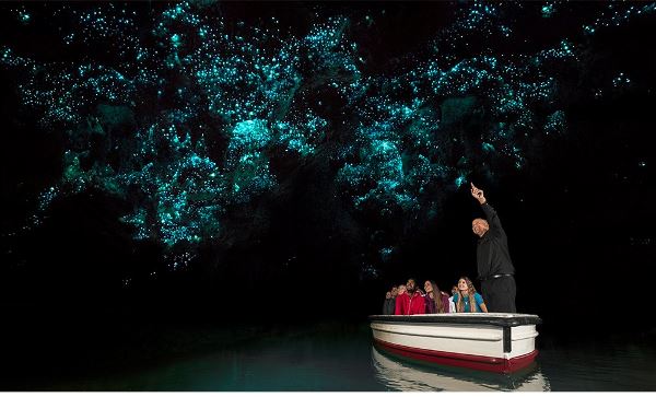 NZ ADVENTURE NORTH (INTRO Travel)