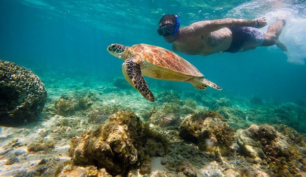 Philippines Island Explorer (INTRO Travel)