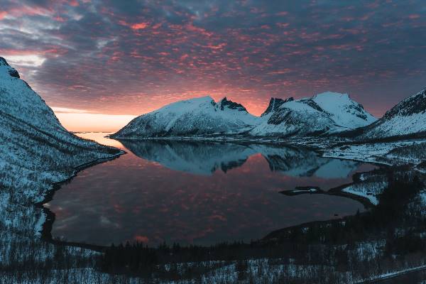 North Norway, Aurora Borealis & Whales - Christmas 2