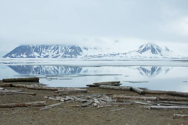 Norte de Spitsbergen, verano ártico (Oceanwide)