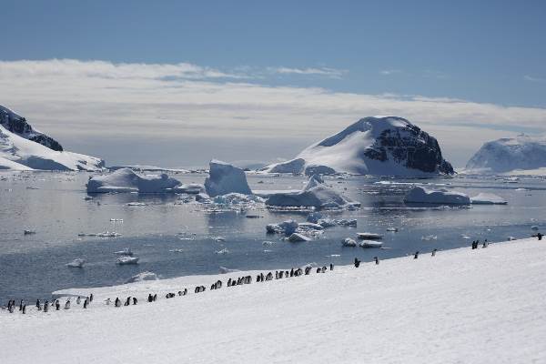 Antarctica - ontdekking en leerreis (Oceanwide)