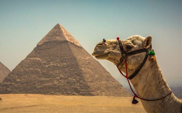 Best of Egypt Luxury Tour (Ciconia)