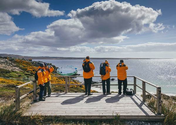 Falklands, South Georgia, and Antarctica: Explorers and Kings (Quark)