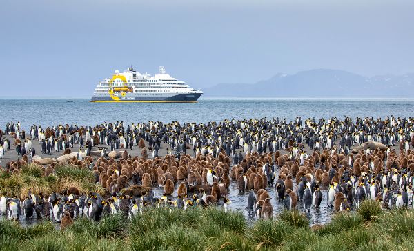 Falkland Islands and South Georgia: 20-Day Wildlife Adventure (Quark)