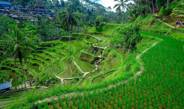 Combinatiereis Bali & Lombok (Bali Travel)