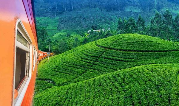 Paradijselijk Sri Lanka (Sri Lanka Travel NL)