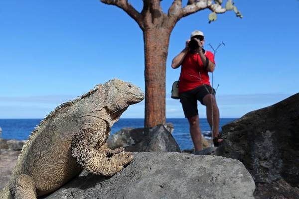 Ecuador | Galapagos: Faszinierende Wunderwelten - Anden, Amazonas und Galapagos (Diamir)