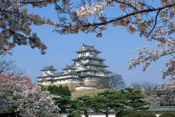 Japan: Entlang der Goldenen Route: Kyoto, Hiroshima, Mt. Fuji und Tokio (Diamir)