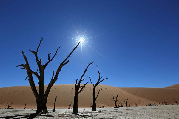 Namibia • Botswana • Sambia: Wüste, Felsmalereien und Victoriafälle (Diamir)