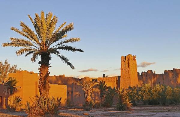 Marokko: Medinas, Oasen und „Berber-Whiskey“ (Diamir)