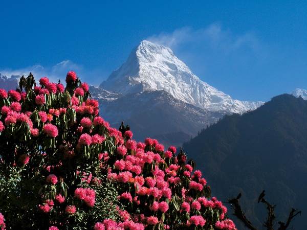 Nepal: Große Annapurna-Runde (Diamir)