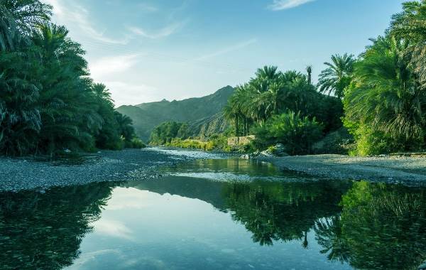 Oman: Weihrauch, Wüste und wilde Wadis (Diamir)