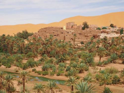 Algerien: Saoura-Oasen und Mozabiten (Diamir)