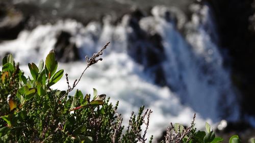 Island: Segelkreuzfahrt und Entdeckertour im Nordosten Islands (Diamir)