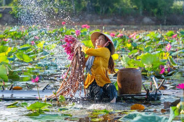 Vietnam • Kambodscha: Lotusblüten und Legenden: Vietnam und Kambodscha in voller Pracht (Diamir)