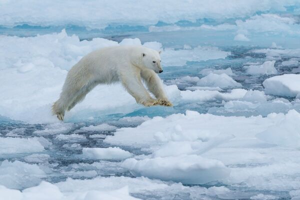 Spitzbergen: Fotoreise ins Eisbärland (Diamir)