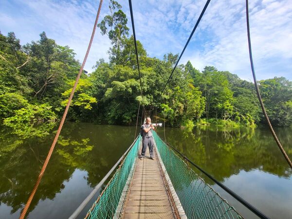 Malaysia | Peninsula • Borneo: Zwischen Regenwäldern, Orang-Utans und Streetfood (Diamir)
