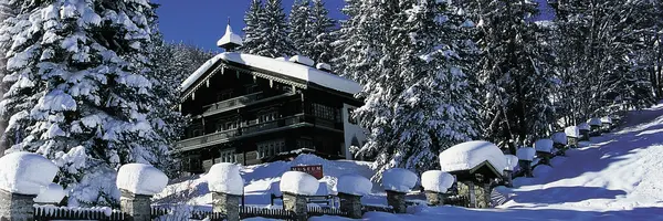 Austrian Christmas Holiday (Albatross Tours)