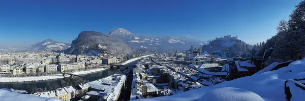 Austrian White Christmas (Albatross Tours)