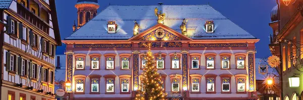 German Christmas Holiday (Albatross Tours)